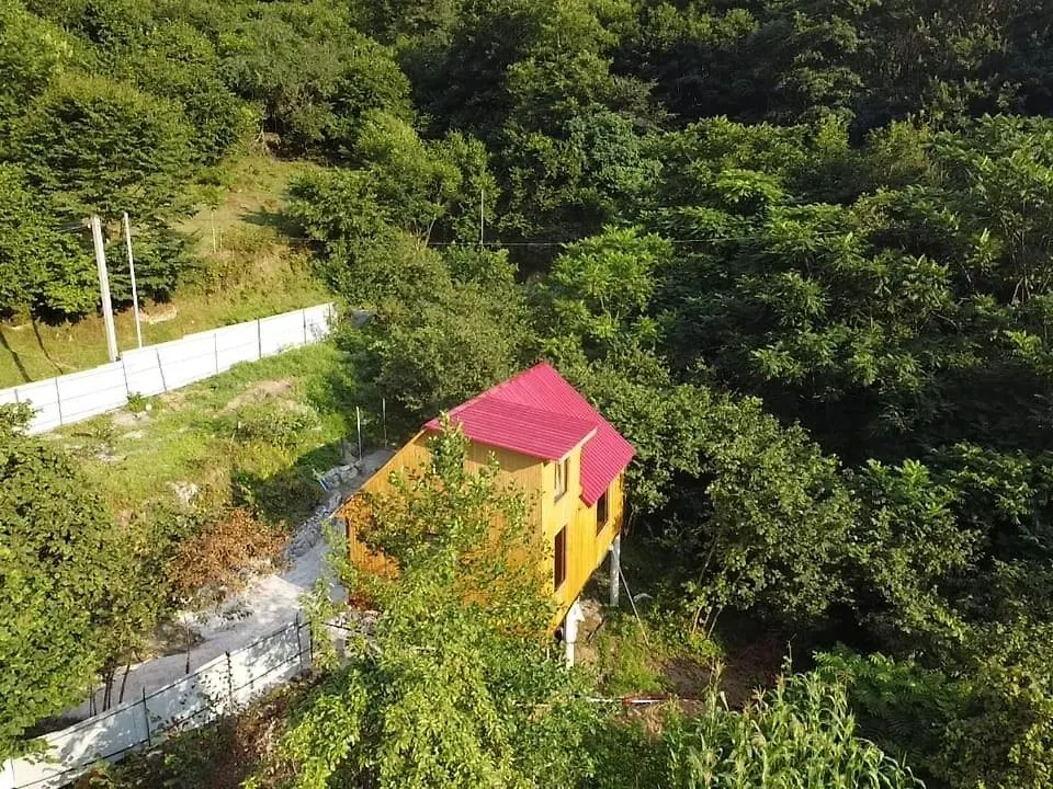 Holiday home Guest Cottage - Nanka'S House Batumi